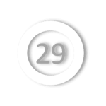 n-29