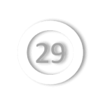 n-29